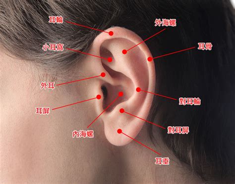 五進四合院 疼痛指數耳洞位置